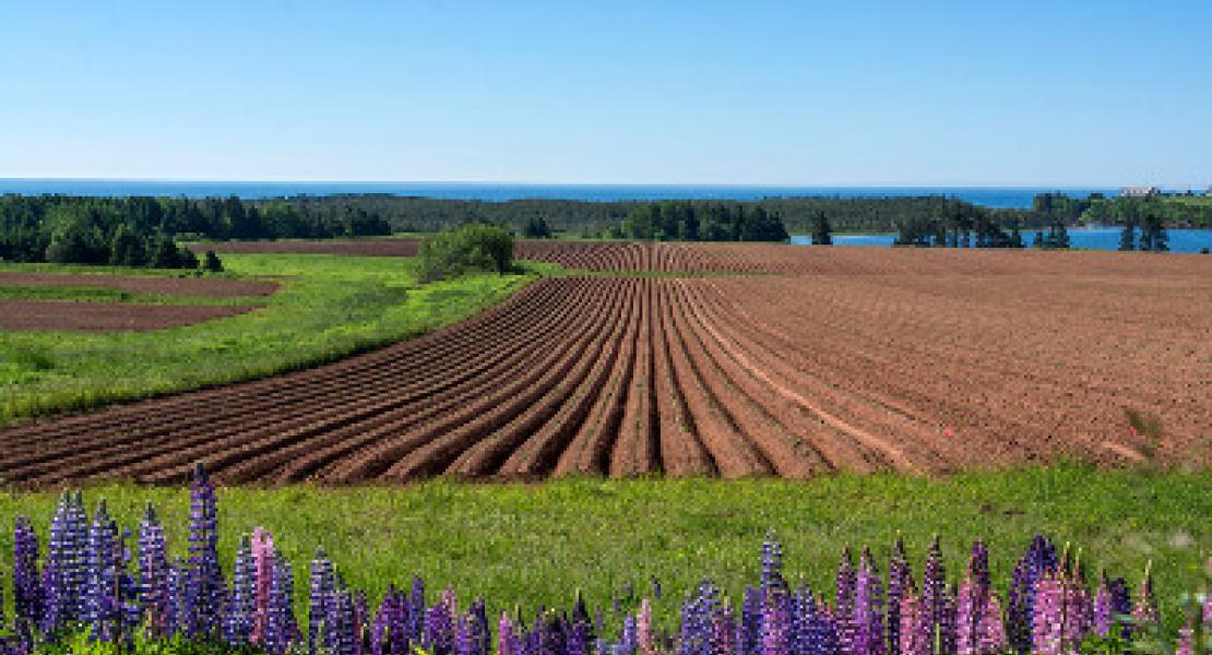 Kingsboro Prince Edward Island