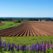 Kingsboro Prince Edward Island